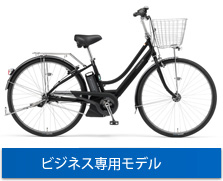 ビジネス専用モデル